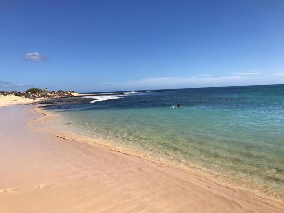 Chic&Surf Dunes View Lumineux Et Vue Superbe ! Corralejo Eksteriør bilde